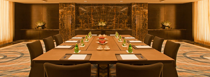 428/Radisson Blu Plaza - New Delhi 03.jpg